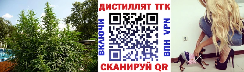 Дистиллят ТГК концентрат  Киселёвск 